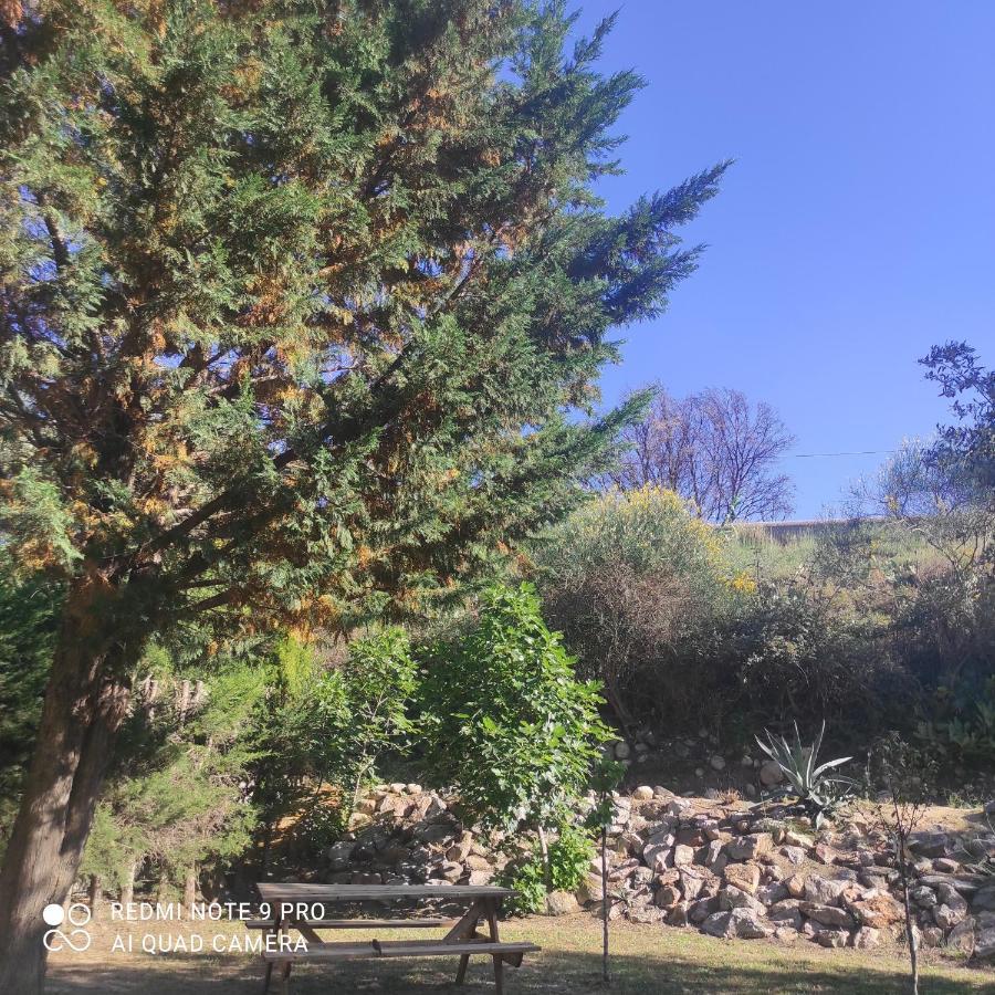 Villa Casaleno Gite La Cigale Avec Wi-Fi Millas Exterior foto